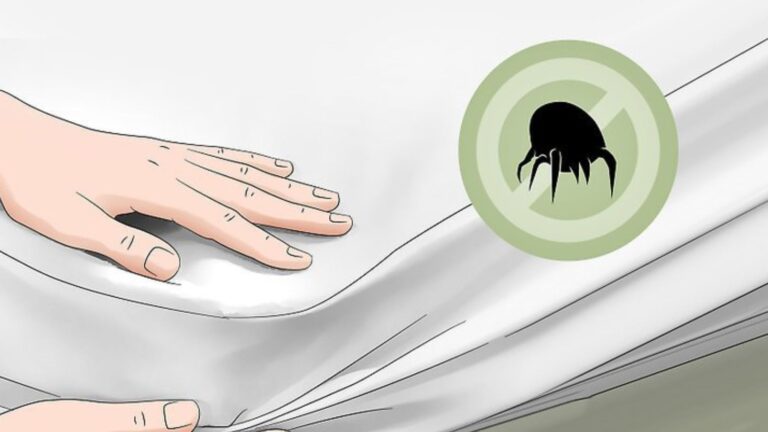 How to Prevent Dust Mites from Infesting Your Bedding?